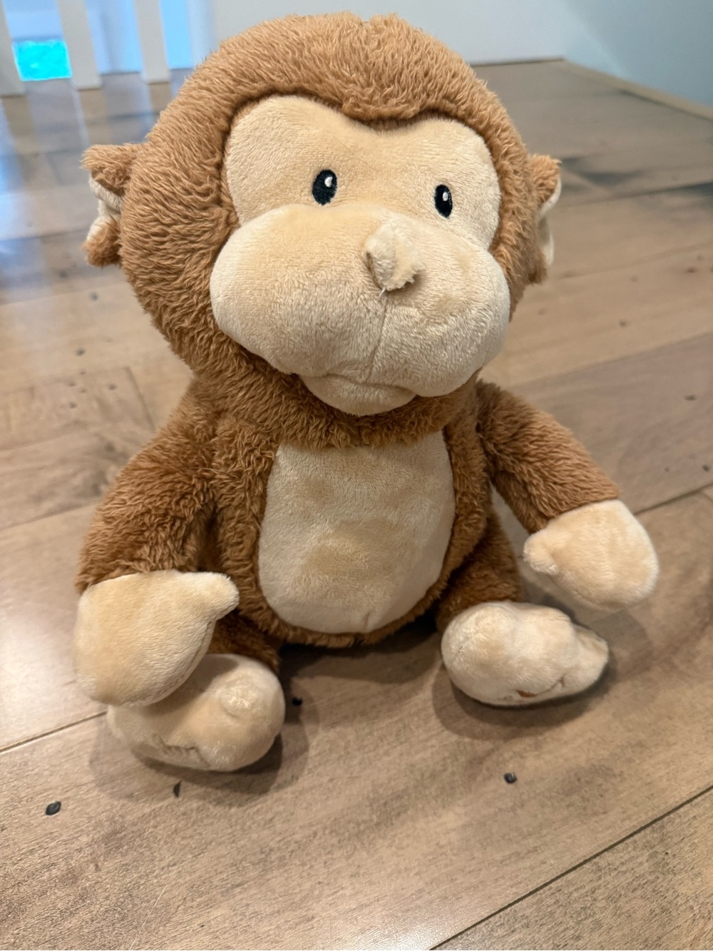 Monkey toy